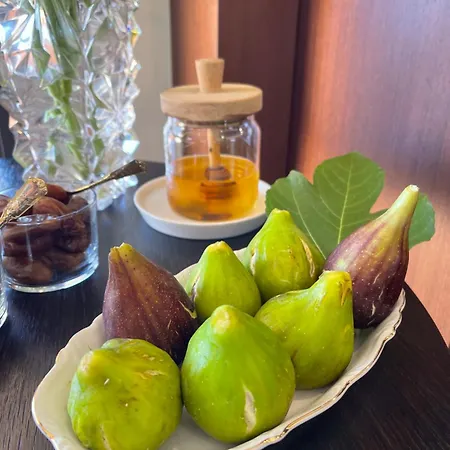 Otel & Rocabella LʼÎle-Rousse